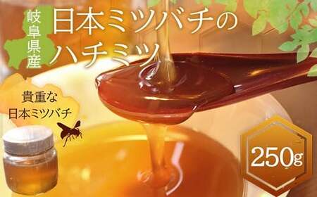 岐阜県産 日本ミツバチのハチミツ 250g ハチミツ 蜂蜜 調味料 はちみつ 加工品 食品 岐阜県 坂祝町 F6M-070