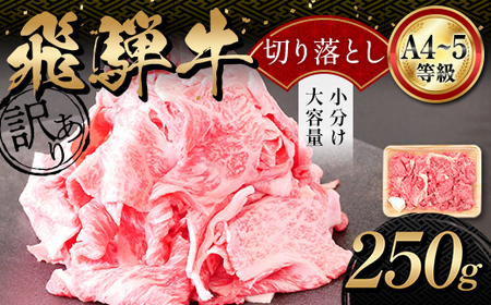 A4等級以上 飛騨牛 焼肉 切り落とし 250g 牛肉 ブランド牛 肉 切落し わけあり ぎゅうにく にく ひだぎゅう ひだうし 訳あり 商品 ワケアリ 不揃い 大容量 切り落とし きりおとし 小分け 冷凍 ネオプライムヒグチ 食品 訳有 焼肉セット 用 選べる 肉のひぐち F6M-331