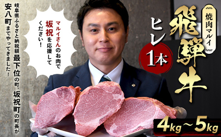 飛騨牛 ヒレ1本(約4〜5kg)[シャトーブリアン&ヒレ]A4〜A5等級 黒毛和牛 ステーキ 牛肉 F6M-343