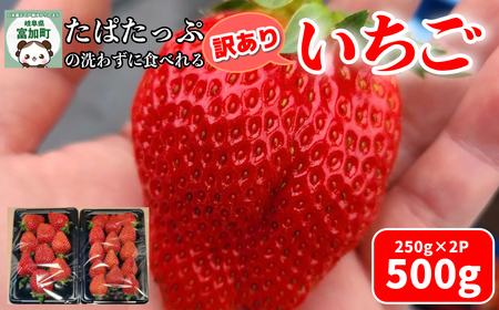 [12050]いちご 500g 岐阜県 富加町 果物 フルーツ 苺 イチゴ 人気 250g 2箱 500g 結実後 農薬不使用 たぱたっぷの洗わずに食べれるいちご