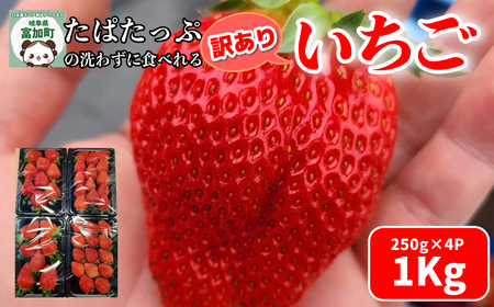 [18028]いちご 1kg 岐阜県 富加町 果物 フルーツ 苺 イチゴ 人気 250g 4箱 1000g 結実後 農薬不使用 たぱたっぷの洗わずに食べれるいちご