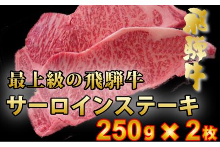 [60152]サーロインステーキ肉飛騨牛500g