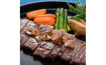 y55023zA5ˋ[XXe[L1si200×5j