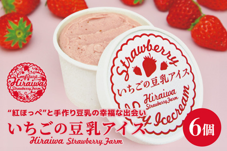 いちごの豆乳アイス 110ml 6個 アイス アイスクリーム いちご イチゴ 苺 豆乳 味 風味 岐阜県 川辺町