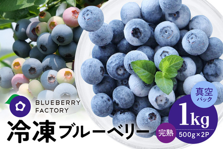 冷凍 ブルーベリー (真空パック保存) 1kg パック(500g×2)