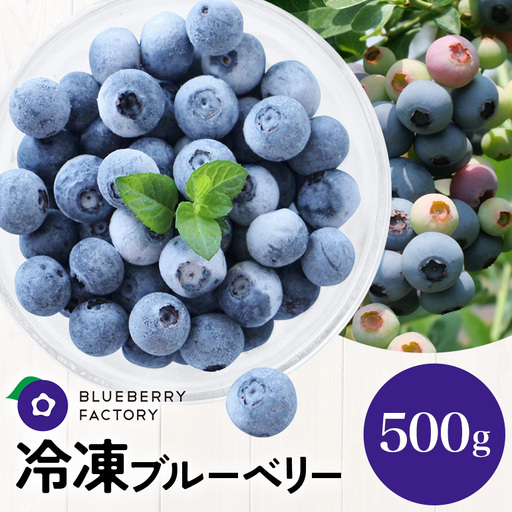 冷凍ブルーベリー[真空パック保存] 500gパック