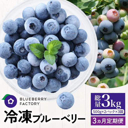 [3か月定期便]岐阜県産 冷凍ブルーベリー[真空パック保存]1kgパック