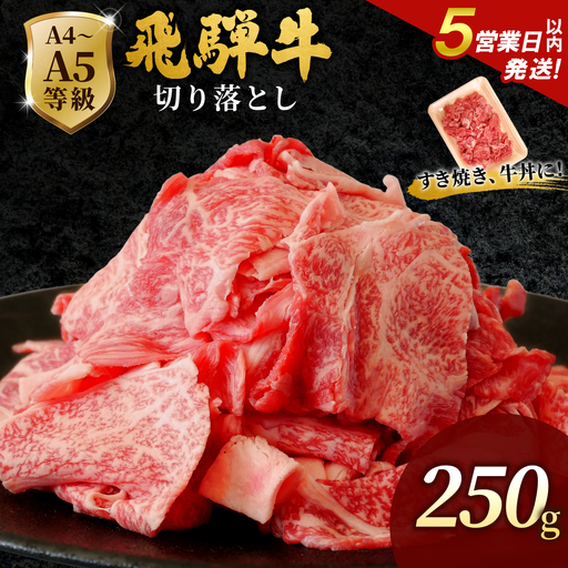 [5営業日以内発送]飛騨牛 切り落とし 250g すき焼き 牛丼 炒め物 訳あり 肉のひぐち