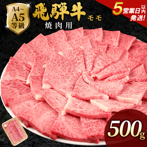 [5営業日以内発送]飛騨牛 もも 焼肉 500g BBQ 赤身 小分け 肉のひぐち