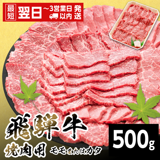 【最短翌日発送】 モモまたはカタ 焼肉 赤身 500g もも かた 養老ミート