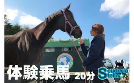 体験乗馬 1回 (20分) 乗馬体験 馬 東海 岐阜県