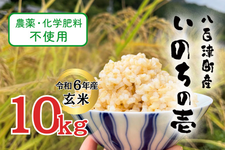 [令和6年産][10月下旬発送開始]農薬・化学肥料不使用 オータニ農業の『いのちの壱』玄米10kg