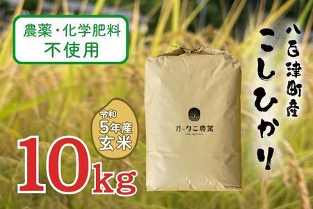 [令和5年産]農薬・化学肥料不使用 オータニ農業の『コシヒカリ』玄米10kg