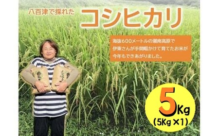 yߘa7NxVāzSÂō̂ꂽRVqJI@5kg