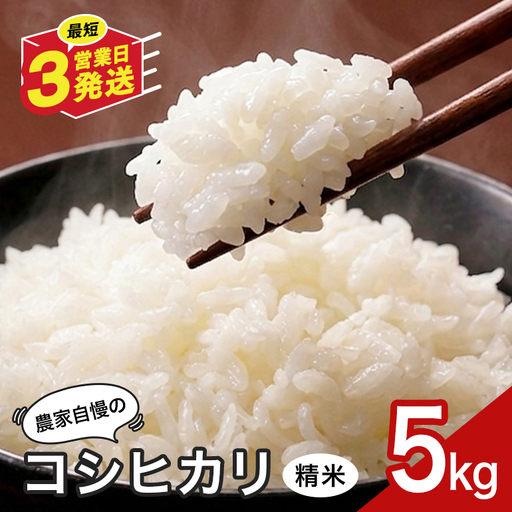 米 5kg 精米 八百津町産コシヒカリ！ 数量限定 Y046-001
