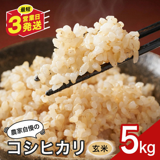 玄米 米 5kg 八百津町産コシヒカリ！ 数量限定 Y046-003