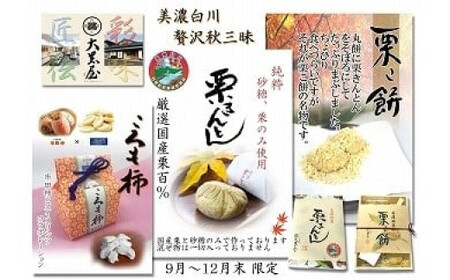 贅沢秋三昧セット 和菓子 栗きんとん 栗こ餅 白川町 / 白川菓匠 大黒屋[AWAA002]