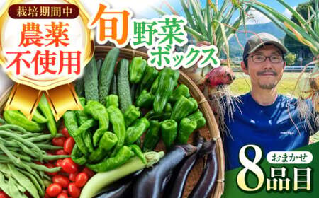 旬のお野菜 ボックス 栽培期間中化学肥料・農薬不使用 / やさい 季節の野菜 / 白川町 / 五段農園[AWAW001]