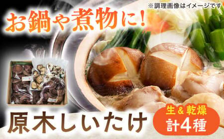原木しいたけ三昧セット 椎茸 国産 岐阜 白川町 / 清水しいたけ園[AWAY001]