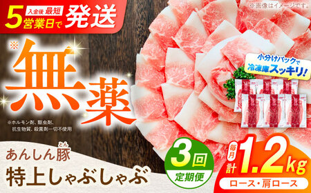 [3回定期便]あんしん豚 特上しゃぶしゃぶセット 豚肉 ロース 国産 白川町 / 藤井ファーム[AWAF010]