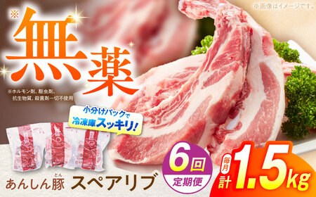y6ցz񂵂 XyAu 1.5kg ؓ  Y 쒬 / t@[[AWAF017]