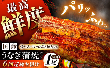 Vy6ցzyYz Y Ȃ̊ 1Zbg V EiM ^t 쒬 / K[AWBL008]