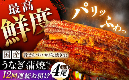 Vy12ցzyYz Y Ȃ̊ 4Zbg V EiM ^t 쒬 / K[AWBL015]