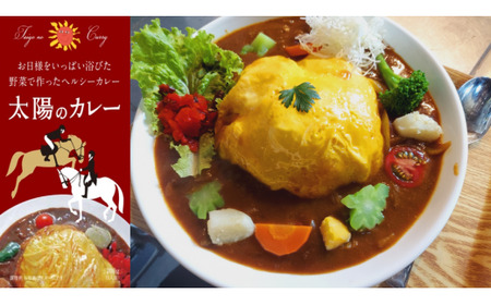 太陽のカレー200g(1人前)×5個 / カレー 冷凍カレー 本格的 スパイシーカレー / 白川町 / ガラパゴスカフェ[AWBN001]