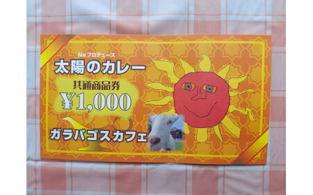 太陽のカレーキッチンカー&ガラパゴスカフェ共通商品券10,000円分 / カレー 本格カレー 商品券 / 白川町 / ガラパゴスカフェ[AWBN004]