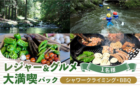 シャワークライミング & オーガニックバーベキュー 1名様 チケット アクティビティ 体験 沢登り BBQ バーベキュー 岐阜 白川町 / Sunpo[AWBC022]