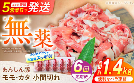【6回定期便】《バラ凍結》 豚肉  モモ・カタ 小間切れ 1.4kg 白川町 / 藤井ファーム[AWAF031]