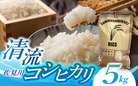 [新米 予約][R7年度産]清流 佐見川 コシヒカリ 5kg 米 コメ こしひかり 白川町 / S.K.C[AWAX001]