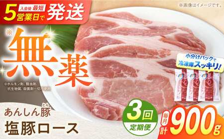 y3ցzs܎܁t ؃[X 900g v2.7kg ؓ  ؂ [X 쒬 / t@[[AWAF054]