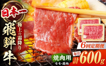 【6回定期便】飛騨牛 焼肉用赤身 600g 白川町 / 浅井商店[AWBJ013] 飛騨牛