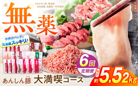 [6回定期便] 豚肉大満喫コース 計5.52kg 白川町 / 藤井ファーム[AWAF073]