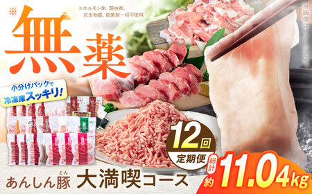 【12回定期便】豚肉大満喫コース 計11.04kg 白川町 / 藤井ファーム[AWAF074]