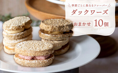 洋菓子ダックワーズ おまかせ10個セット 洋菓子 白川町 / hokimoto[AWCF008]