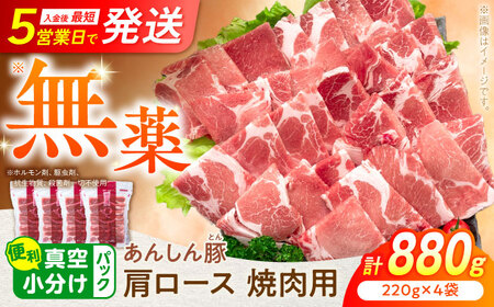 あんしん豚 豚肉 肩ロース 焼肉用 880g (220g × 4袋) / 豚肉 小分け 冷凍 焼肉 カタロース 白川町 / 藤井ファーム[AWAF062]