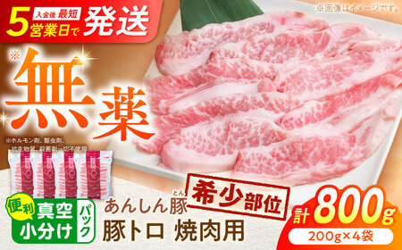 あんしん豚 豚肉 豚トロ 焼肉用 800g (200g × 4袋) / 豚肉 希少部位 小分け 冷凍 焼肉 豚トロ 白川町 / 藤井ファーム[AWAF063]