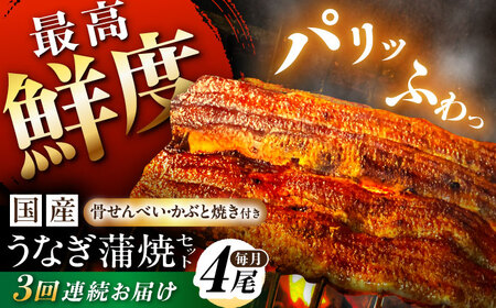 [3回定期便][備長炭] 国産 うなぎの蒲焼 4尾セット 鰻 ウナギ タレ付き 白川町 / 多幸八 [AWBL013]