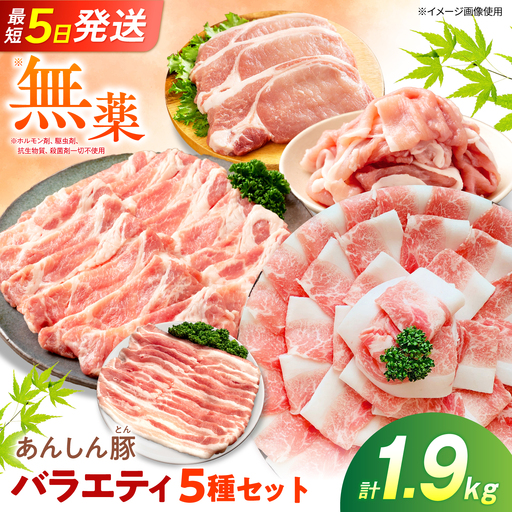豚肉 バラエティセット 5種 計1.9kg 藤井ファーム[AWAF106]豚肉セット