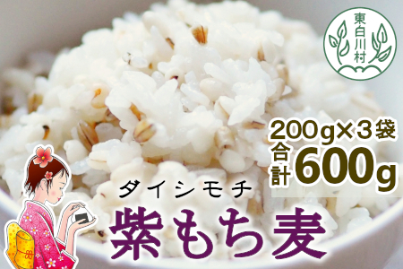 東白川村産 紫もち麦 ダイシモチ 200g×3袋 お米 こめ もち麦 精米 ご飯 お取り寄せ