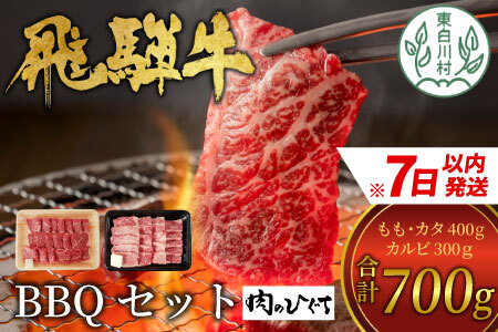 飛騨牛 BBQセット (カルビ300g+もも・カタ焼肉用400g) 計700g A5 A4 肉のひぐち 20000円