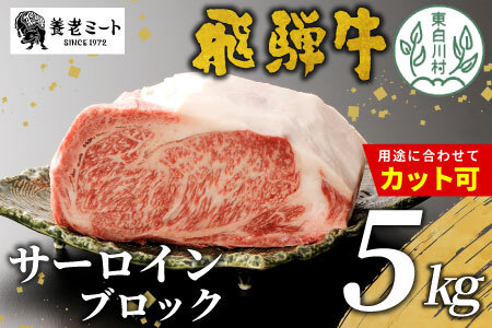 お好きなカット可能! 飛騨牛 サーロインブロック 5kg