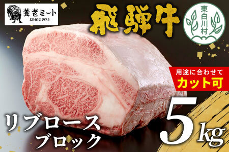 お好きなカット可能! 飛騨牛 リブロースブロック 5kg