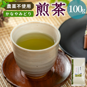 農薬不使用!煎茶 かなやみどり 100g 常磐園 美濃白川茶 日本茶 緑茶 茶葉