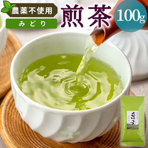 農薬不使用!煎茶 みどり 100g 常磐園 白川茶 美濃白川茶 日本茶 緑茶 煎茶 茶葉 お茶 春摘み リーフ 国産 お試し 岐阜県 東白川村