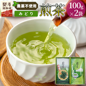 農薬不使用!煎茶 ギフト NO.34(みどり100g×2 計200g) 常磐園 みどり こうぎょく 日本茶 緑茶 煎茶 茶葉 お茶 白川茶 美濃白川茶 農薬不使用栽培茶 一番茶 春摘み 大容量 岐阜県 東白川村 お取り寄せ 贈答用 プレゼント ギフトセット