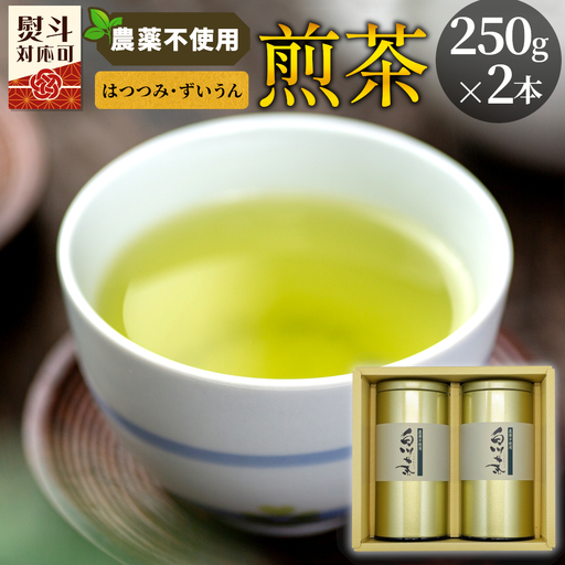農薬不使用!煎茶 ギフト NO.1 (はつつみ250g+ずいうん250g 計500g) 常磐園 日本茶 緑茶 茶葉 岐阜県 東白川村 お取り寄せ 贈答用 プレゼント 母の日
