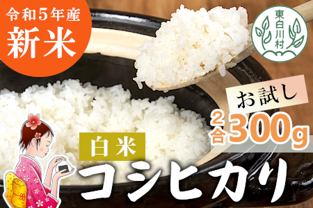 東白川村産 コシヒカリ 白米 お試し2合 300g お米 こめ 精米 ご飯